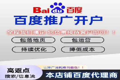行业领先企业如何运用SEM运营推广
